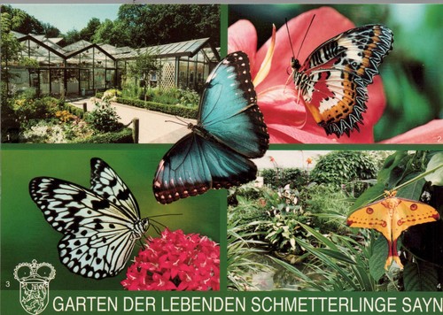 Bendorf sayn garten der - ak,